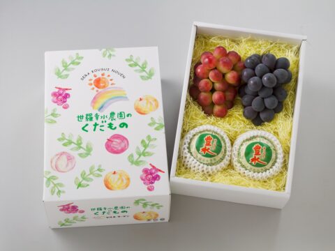 なしぶどうセット