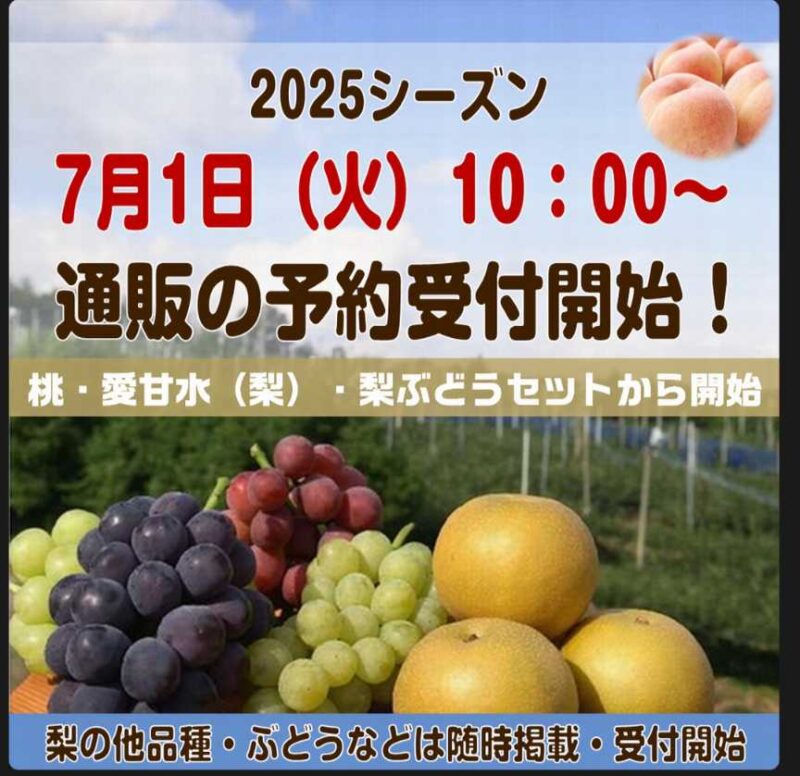 梨桃通信販売開始