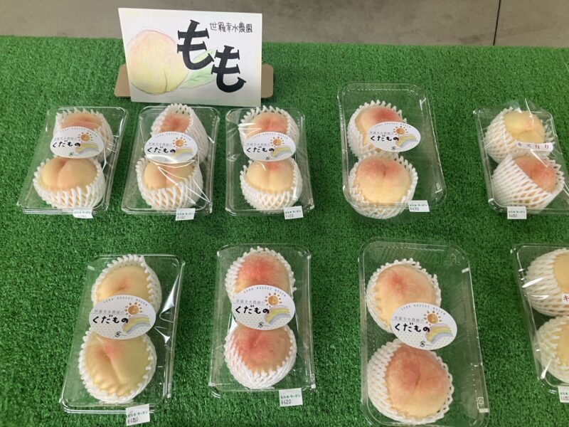 桃の収穫開始